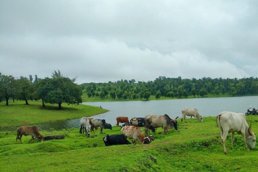 Jai Sagar Dam