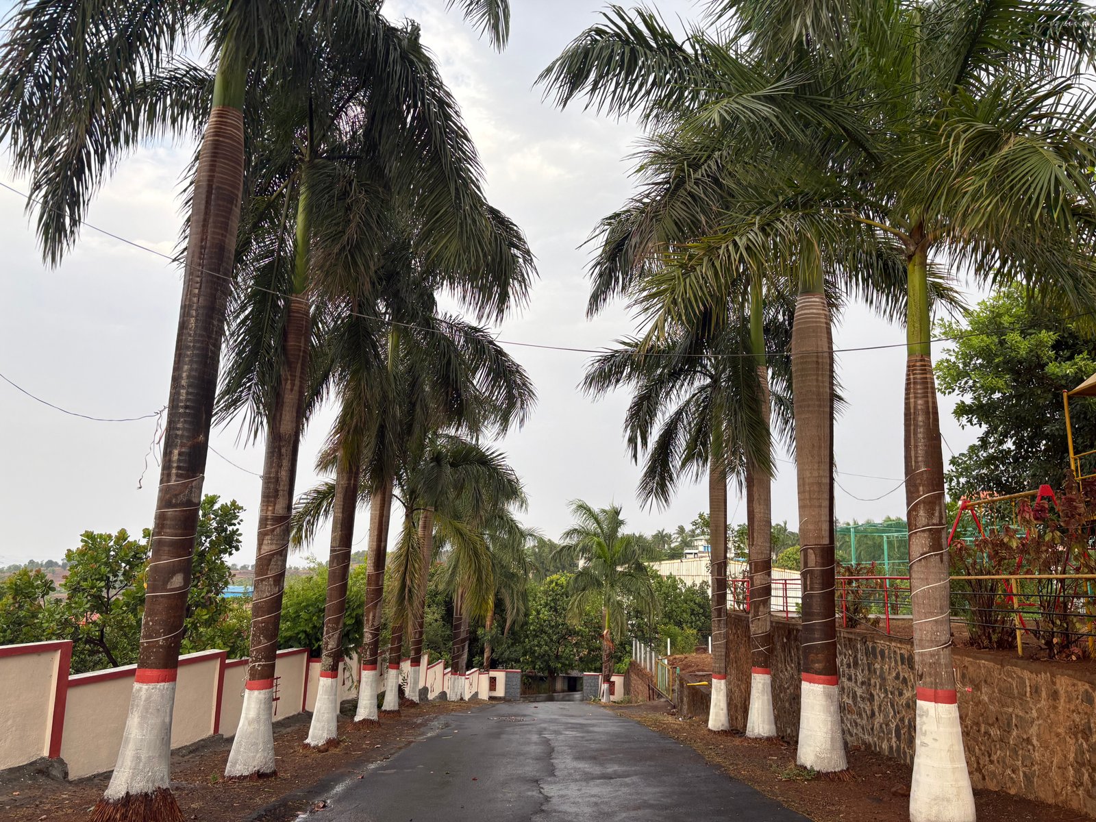 Scenic getaway at Shanti Sarovar Resort